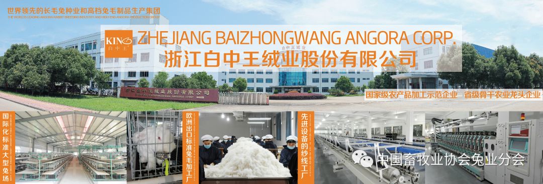 2026獭兔养殖行情_兔产品价格指数分析_2023年8月兔产业发展指数