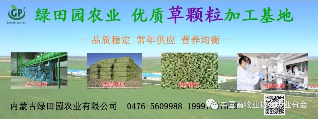 2026獭兔养殖行情_兔产品价格指数分析_2023年8月兔产业发展指数