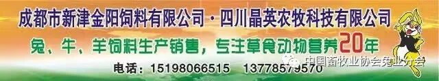 2026獭兔养殖行情_兔产品价格指数分析_2023年8月兔产业发展指数
