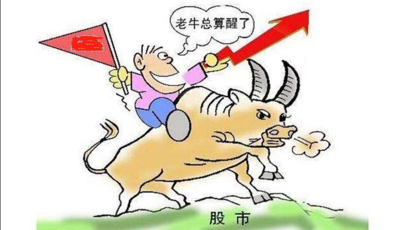判断技术性牛市指标_技术性牛市与真正的牛市区别_技术性牛市什么意思