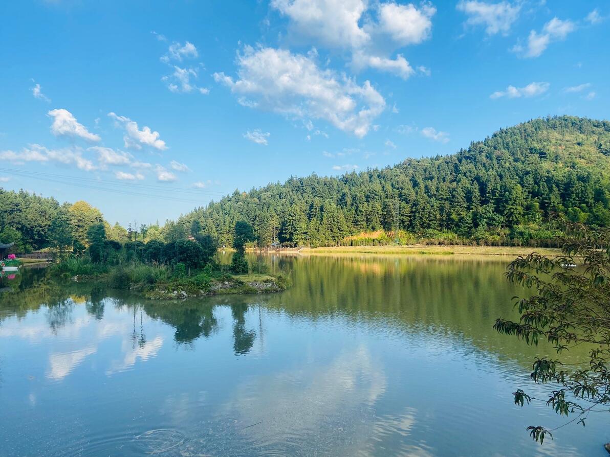 富华优配华林优配恒汇证券天盛优配盛达优配排名_股票专业配资_股票配资平台用户体验分析