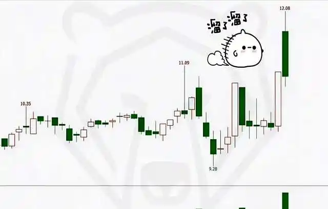 量价关系看懂洗盘_跌停创新低尾盘开板_低位连板巨阴洗盘