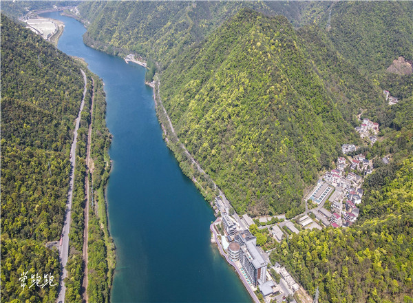 春茶形势_江南茶区_春茶采摘