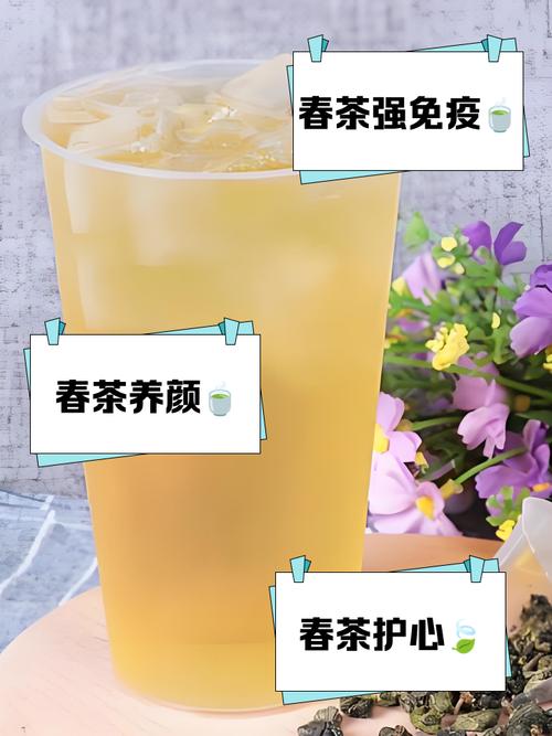 江南茶区_春茶形势_春茶采摘