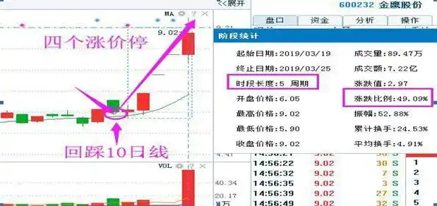 财报分析坚持_主力建仓阴线 公式_长期投资回报