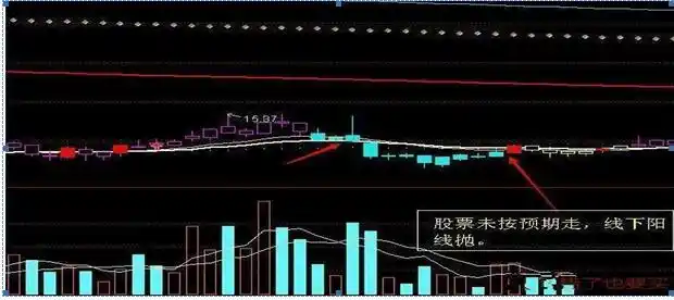 主力建仓阴线 公式_长期投资回报_财报分析坚持