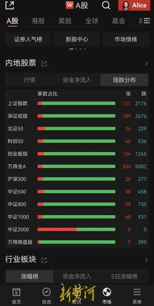 大盘暴跌新股民赔钱_新股民开户遇挫_A股市场大幅调整