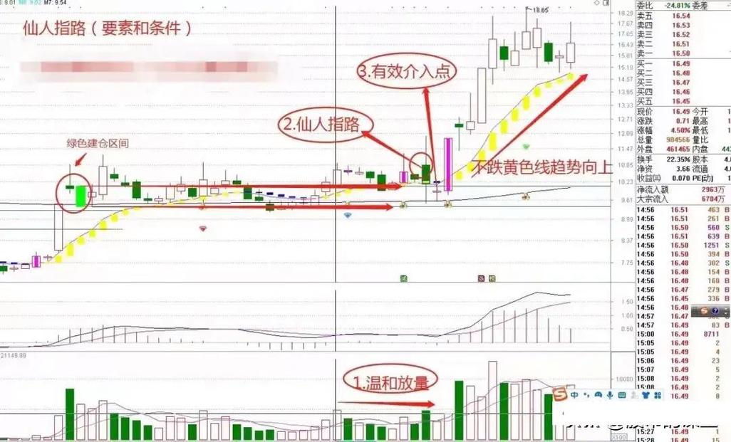 高抛低吸_波段操作_181周线是几日线