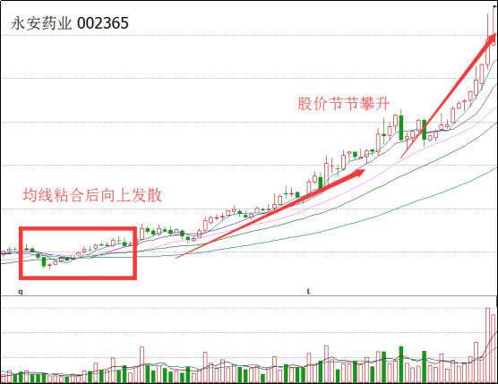 181周线是多少日线？搞懂均线粘合就明白