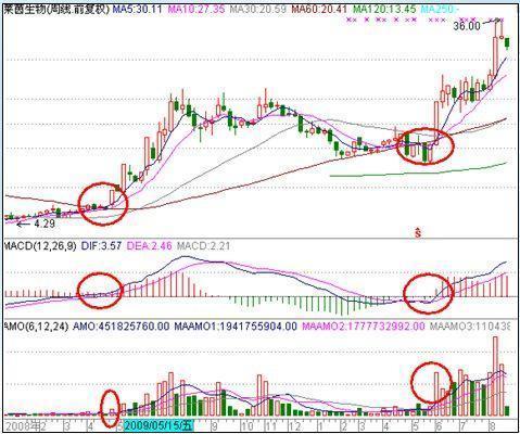 周线K线图分析_周移动平均线运用技巧_181周线是几日线
