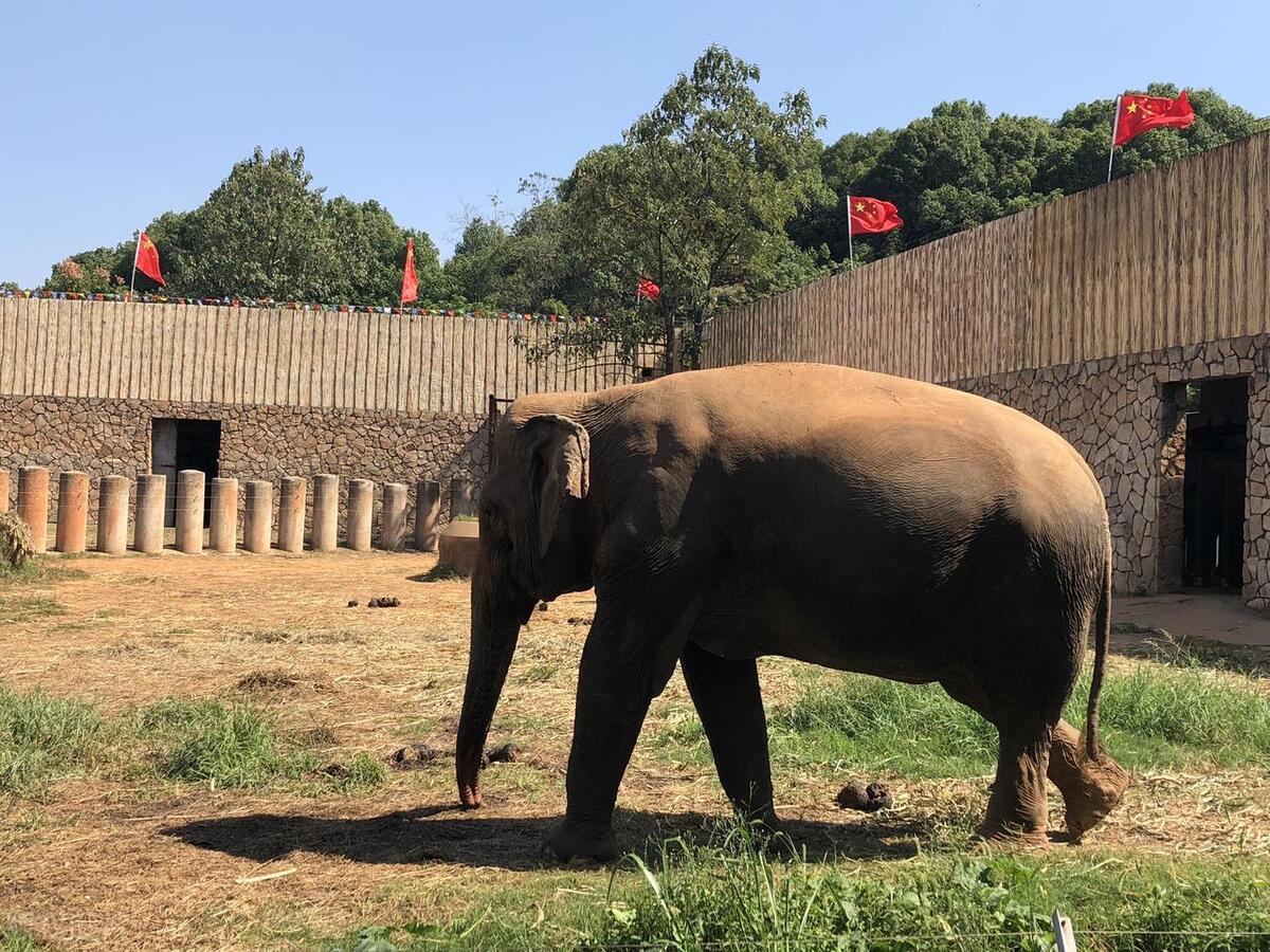 长沙热门旅游景点_长沙股票配资平台_长沙必去景点推荐