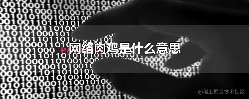 黑客怎么称呼肉鸡？