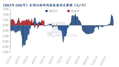 肉鸡各阶段饲养要点_肉鸡行情2026_肉鸡生长周期管理