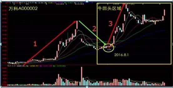 股市交易思路_周线老鸭头出水芙蓉_职业交易者交易策略