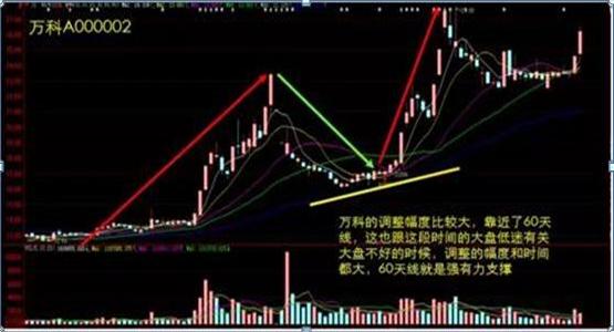 股市交易思路_职业交易者交易策略_周线老鸭头出水芙蓉