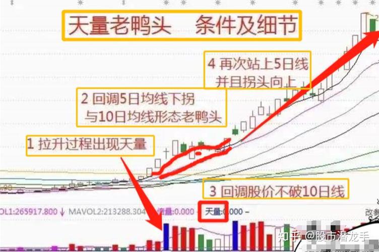 MACD黄金铁律交易策略_周线老鸭头出水芙蓉_股市散户亏损原因