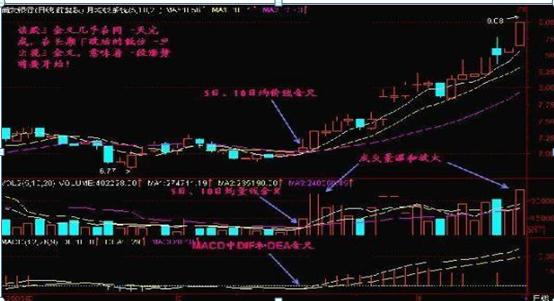 股市散户亏损原因_周线老鸭头出水芙蓉_MACD黄金铁律交易策略