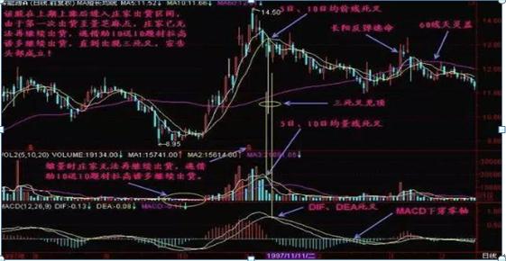 MACD黄金铁律交易策略_股市散户亏损原因_周线老鸭头出水芙蓉