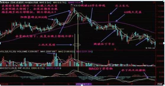 周线老鸭头出水芙蓉_MACD黄金铁律交易策略_股市散户亏损原因