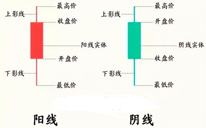 新手学炒股基础知识_股票入门知识_股票入门必备知识