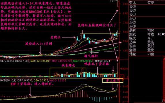 MACD零轴上方金叉应用_MACD指标金叉买入信号_周线老鸭头出水芙蓉